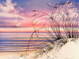 Sea Oats Sun Flight